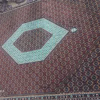 فرش ۱۲ متری نو