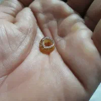 مهره|کلکسیون اشیاء عتیقه|دزفول, |دیوار
