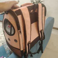 کیف رودوشی حمل سگ و گربه|لوازم جانبی حیوانات|آستارا, |دیوار