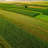 اجاره زمین کشاورزی بر اتوبان