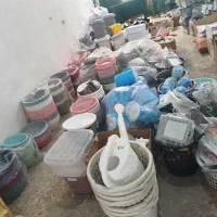 فروشگاه حاج ارزونی سراوان