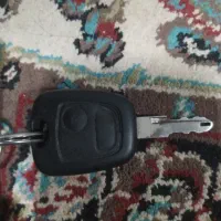 پیدا شده