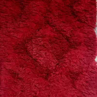 فرش پادری کاملا سالم ۸۰در۵۰|پادری|تهران, جابری|دیوار