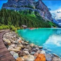 بالای پنجاه ساله ها
