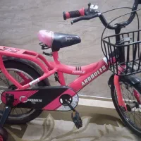 دوچرخه دخترانه ۱۶