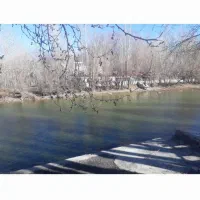 باغ پلاک دوم رودخانه حوالی پل زمانخان روستای چمنار|فروش دفتر صنعتی، کشاورزی، تجاری|نجف‌آباد, امام خمینی|دیوار