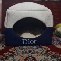 خانه سگ و گربه