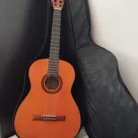 گیتار همراه با کیفش