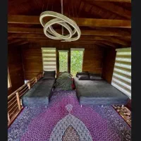 یک ویلا چوبی خاص دوبلکس سوییسی|فروش خانه و ویلا|قدس, شهرقدس|دیوار