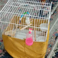 یک قفس پرنده