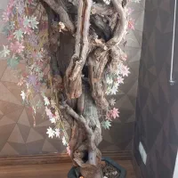 درخت|گل مصنوعی|همدان, |دیوار