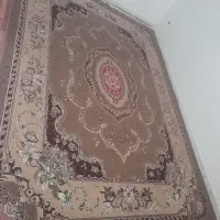 فرش ۱۲ متری|فرش|خاش, |دیوار