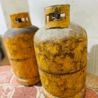 دوعددکپسول