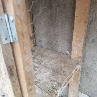 قفس چوبی چوب روس|لوازم جانبی حیوانات|اصفهان, ستار|دیوار