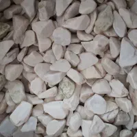 سنگ مرجان طببعی اقیانوس  و شن سفید