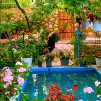 اجاره روزانه سوییت خانواده فقط