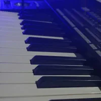 ست ارگ موجود میباشد