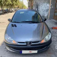 ۲۰۶ مدل ۸۸ ، سفارشی کارخانه