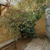 اجاره-سوییت