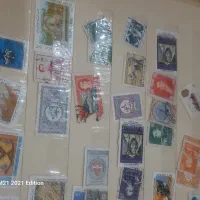 تمر قدیمی