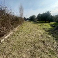 ۲۵۰متر سرمایه گذرای