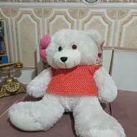 عروسک خرسی نو|اسباببازی|قدس, شهرقدس|دیوار