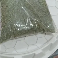 پونه کوهی