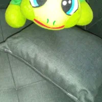 عروسک لاک پشت.|اسباب‌بازی بچه|قدس, شهر‌قدس|دیوار