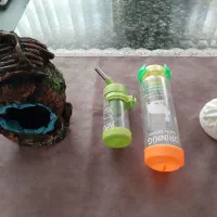 گردنبند الیزابت گربه ، نردبان طوطی ، وسایل همستر