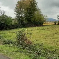 زمین روستایی سنددار با کاربری مسکونی (۷۱۹متر)|فروش زمین و ملک کلنگی|املش, |دیوار