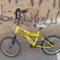 دوچرخه ۱۶ در حده نوه