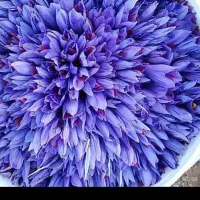 به گلچین نیازداریم
