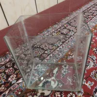 شیشه اکواریم|ماهی|یاسوج, |دیوار