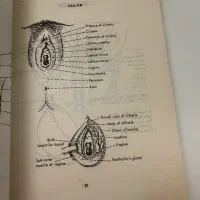 کتاب|کتاب و مجله آموزشی|تهران, پونک|دیوار