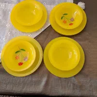 ظروف غذا|ظروف سرو و پذیرایی|تهران, نیلوفر|دیوار