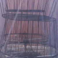 ملزومات سبدبافی(ارغوان بافی)،فرم فلزی|صنایع دستی و سایر لوازم تزئینی|گنبد کاووس, |دیوار