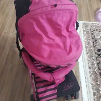 کالسکه|کالسکه و لوازم جانبی|کوچصفهان, |دیوار