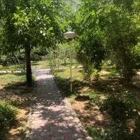 پاسداران-زمرد-195-متر-تاپ-لوکیشن