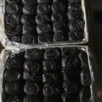فروش خرما دو ردیفی