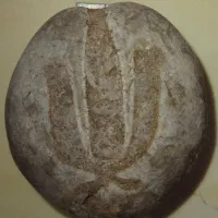 یک عدد سنگ کلکسیونی و نایاب