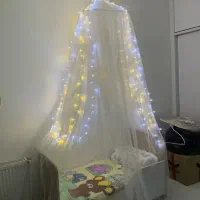 پشه بند