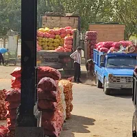 فروش 6دانگ.حجره تره بارتهران فاز 2 سالن 10 پلاک 27|فروش مغازه و غرفه|تهران, میدان میوه و تره‌بار مرکزی|دیوار