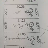 دو قطعه زمین کیان آباد|فروش زمین و ملک کلنگی|شیراز, کیان آباد|دیوار