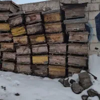 جعبه کندوی زنبور عسل در حد نو