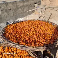 الو بخارا محلی باطعمی خوشمزه|خوردنی و آشامیدنی|تهران, مینیسیتی (شهرک نفت)|دیوار