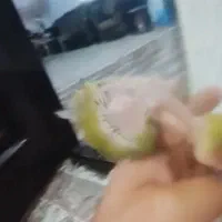 جفت طوطی برزیلی با بچه