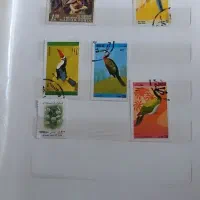 آلبوم تمبر قدیمی|کلکسیون سکه، تمبر، اسکناس|بجنورد, |دیوار