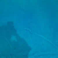 موکت .|موکت|اسلامآباد غرب, |دیوار