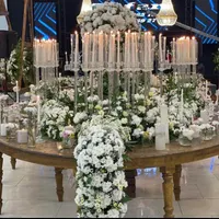 تشریفات و خدمات مجالس عروسی (ویژه مشکل پسندان)