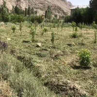 باغ در بهترین منطقه فیروزکوه آبتره جار